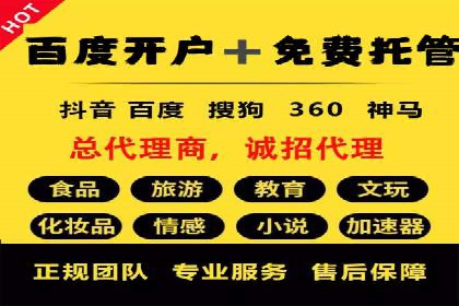 行业领先企业的SEM服务托管策略案例